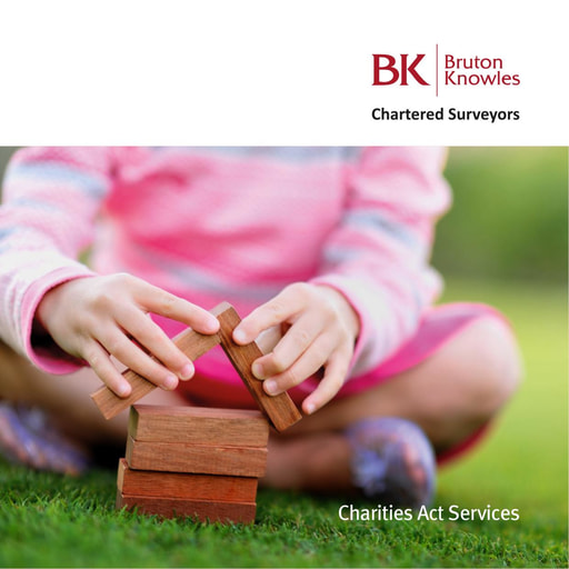 BK Charities brochure