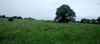 Land At Oxlynch Lane Stonehouse